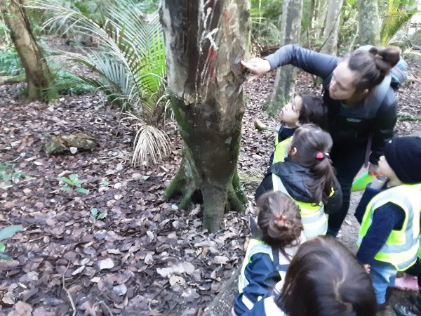 Natures Point Child Care in papakura - connecting children with nature