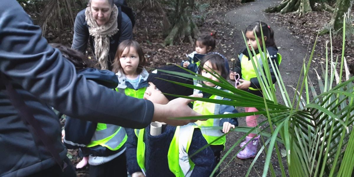 Natures Point Childcare Papakura