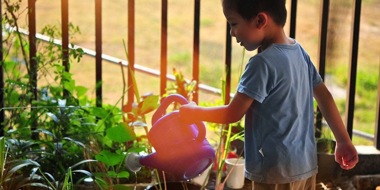 Childcare Papakura - Natures Point